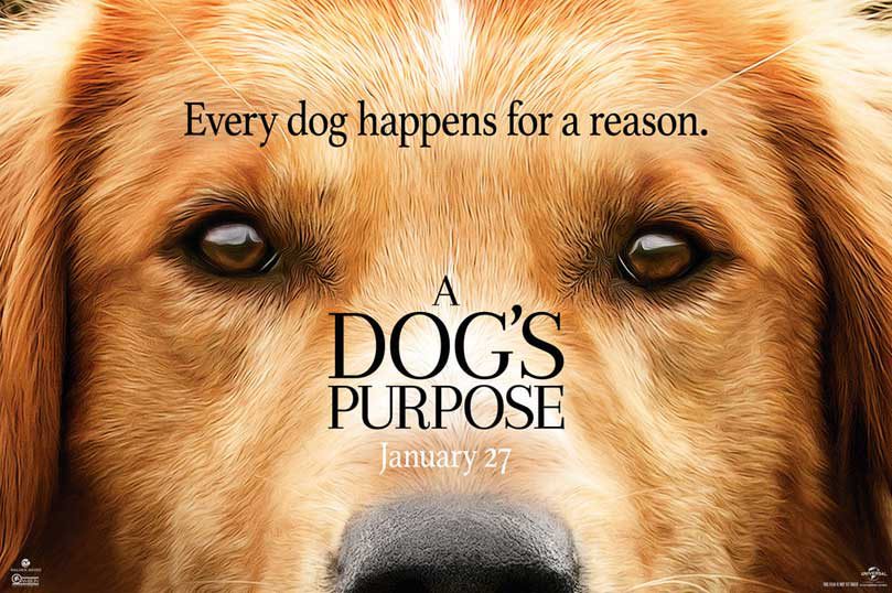 Interview with W. Bruce Cameron, Author of A Dog's Purpose - 44