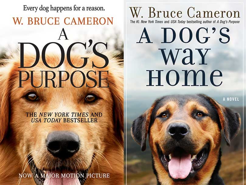 A Dog's Purpose Sweepstakes - 24