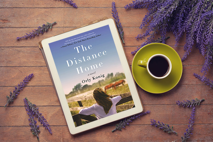 $2.99 eBook Sale: <i>The Distance Home</i> by Orly Konig - 89