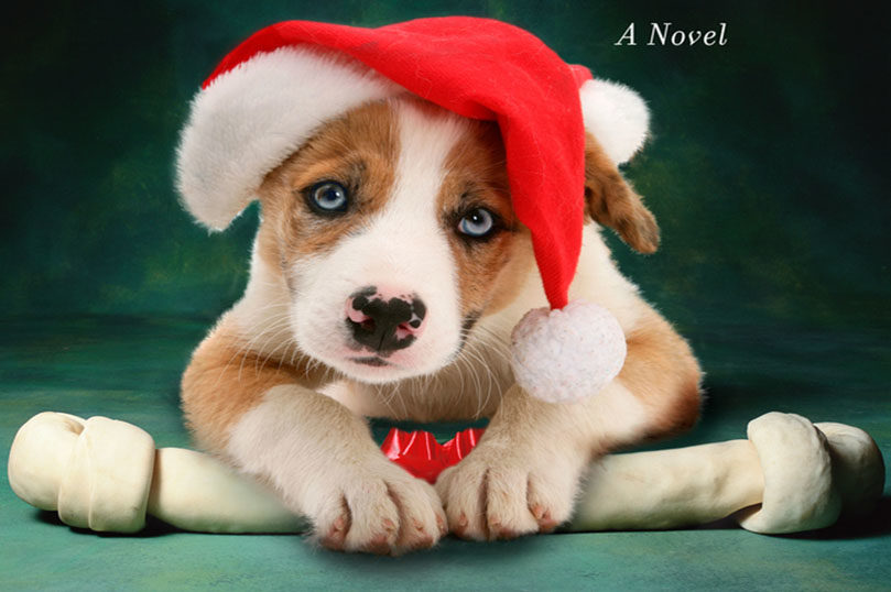 the dogs of christmas 73A