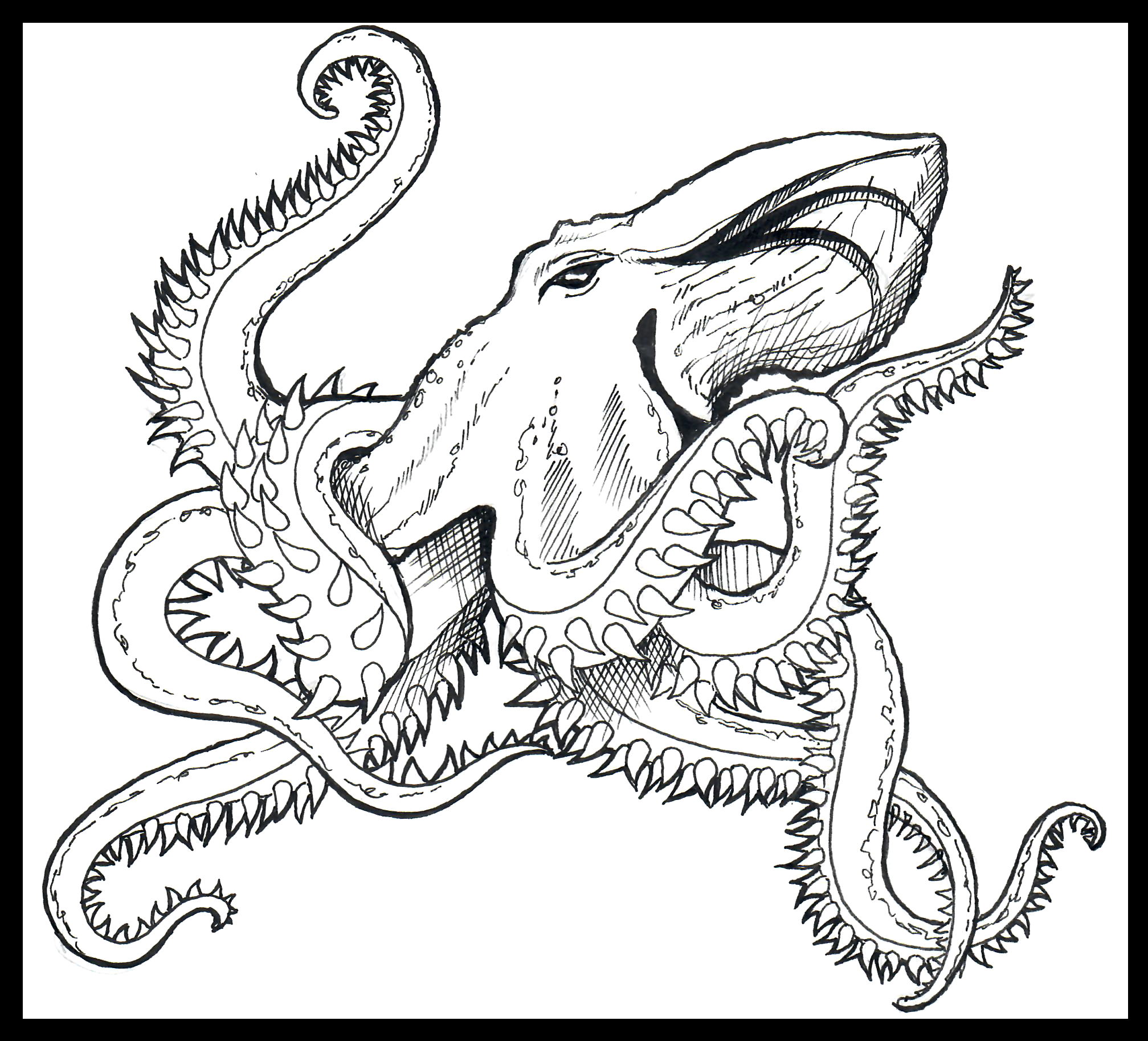 Image Placeholder of - 58
