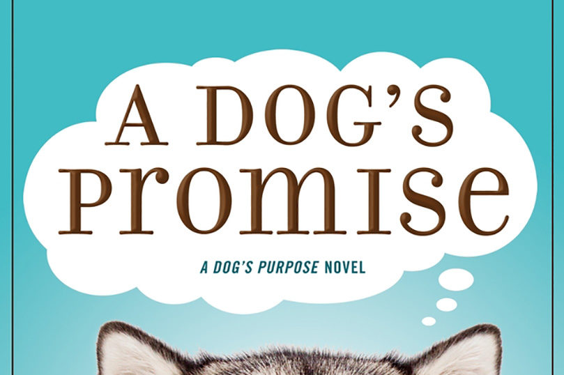 a dogs promise 2 70A