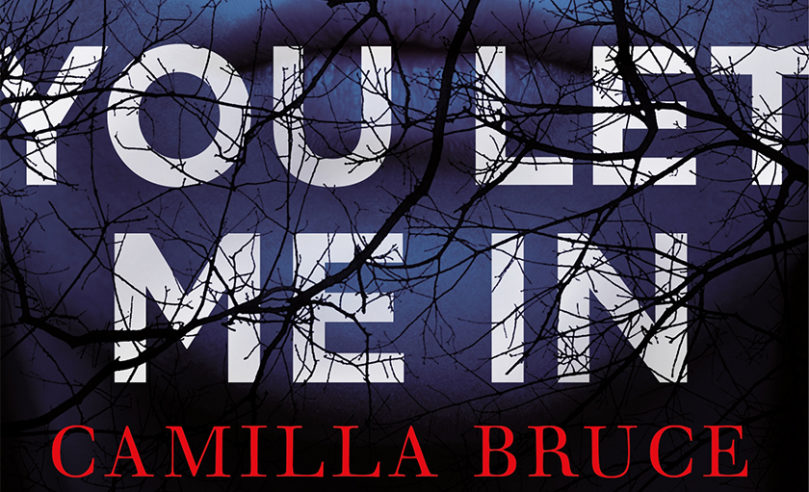 Excerpt: <i>You Let Me In</i> by Camilla Bruce - 16