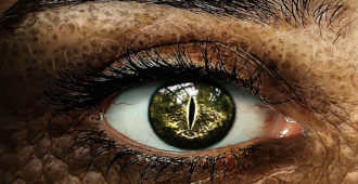 The Best Dragons in Human Skin: A List by Jenn Lyons, author of The Ruin of Kings