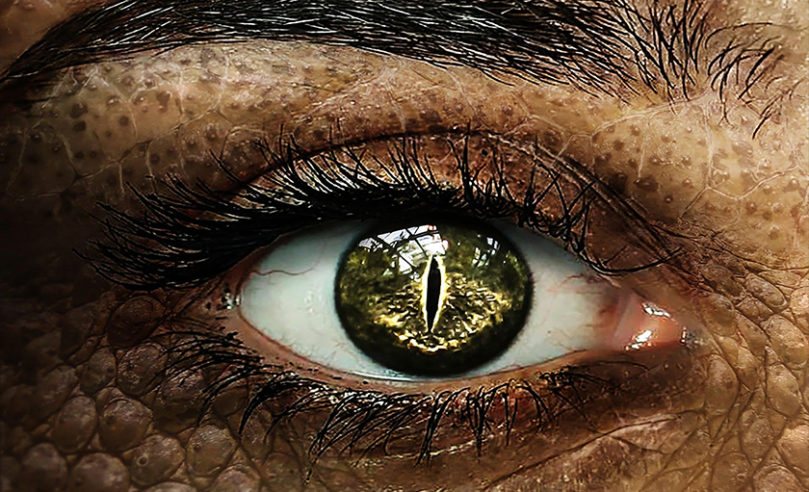 reptilian eyes close-up