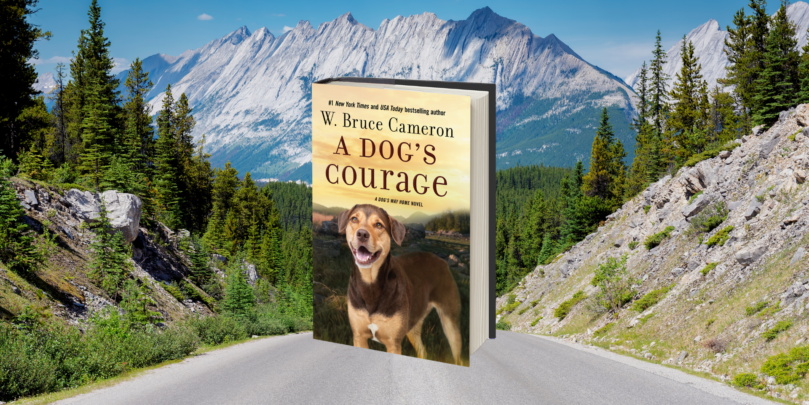 Excerpt: <i>A Dog's Courage</i> by W. Bruce Cameron - 44