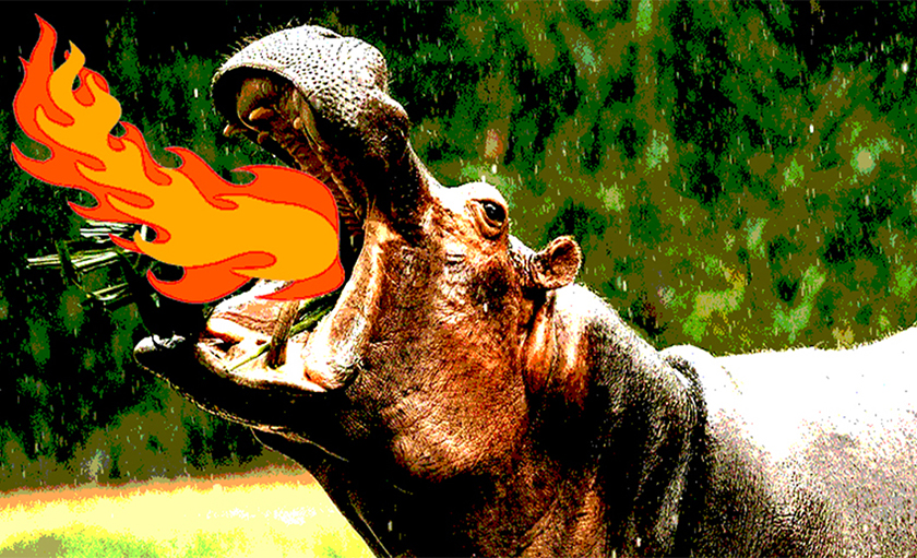 hippo breathing fire