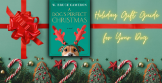 A Dogs Perfect Christmas Listicle Blog Post Cover Image 96A