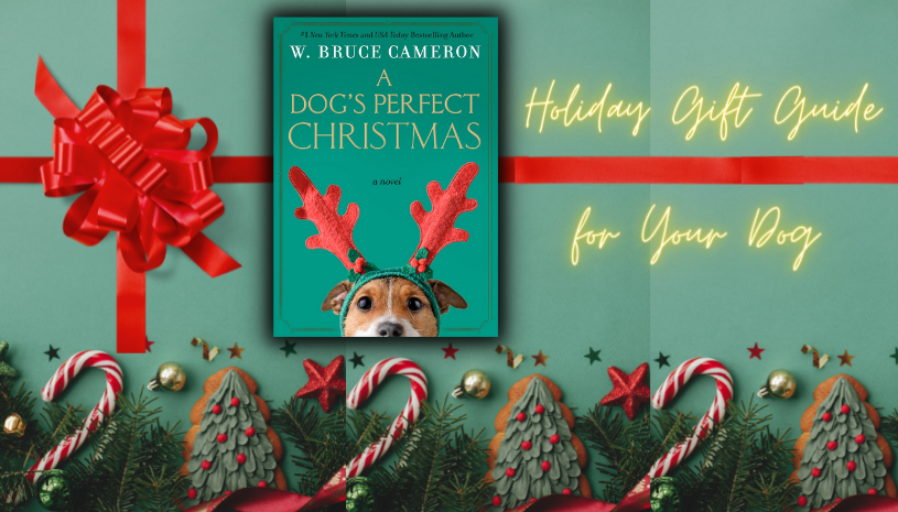 Paws-Itively Perfect: 20 Best Dog Christmas Card Photo Ideas  