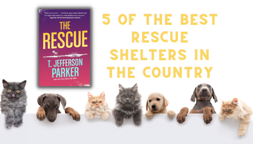 5 of the Best Rescue Shelters in the Country - 23