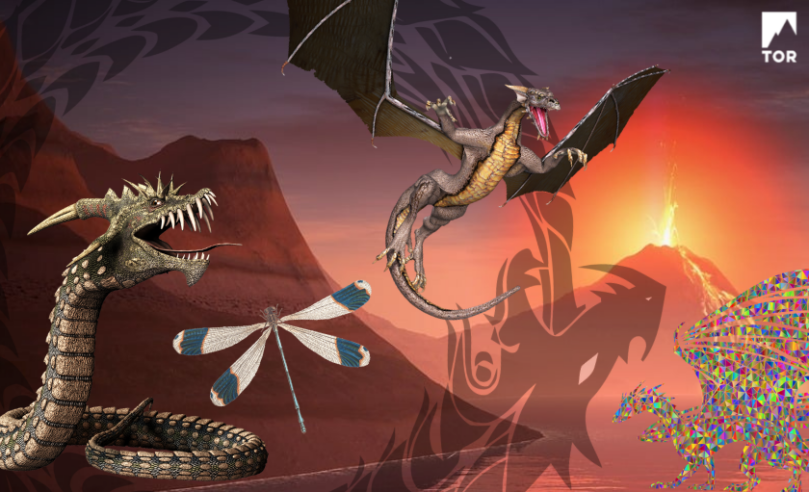 background is a volcano, which is also a dragon. many different dragons populate the foreground including traditional, snake, polygonal, and dragonfly, plus semi-transparent ourobouros