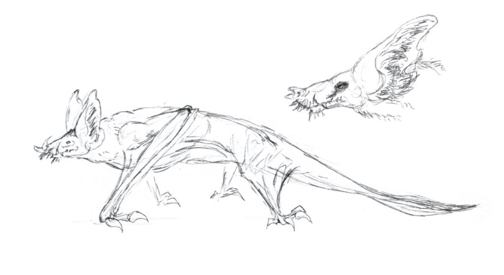 preliminary sketch  massive crawling bat