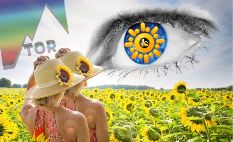 two copies of a woman standing in a sunflower field looking at a giant eye in the sky with an iris comprised of overlapping sun emojis and banana emoji. the rainbow tor logo looms transparently in the distance. no longer pride month but we're gay all year