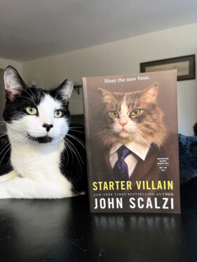 a cat that's kind of mirroring the cover of starter villain by john scalzi