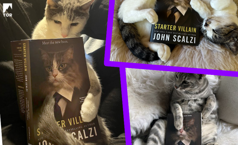 three cats reading starter villain by john scalzi