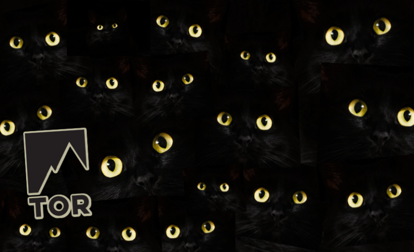 a bunch of the same set of cat eyes laid over each other in a dark room with a glowy tor logo