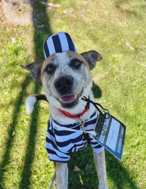 hermes the prisoner is free and smiling outside