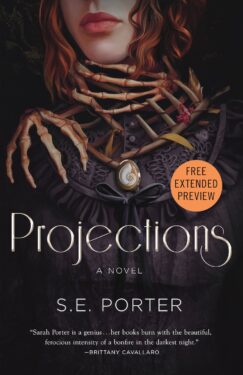 projections by s e porter digital preview