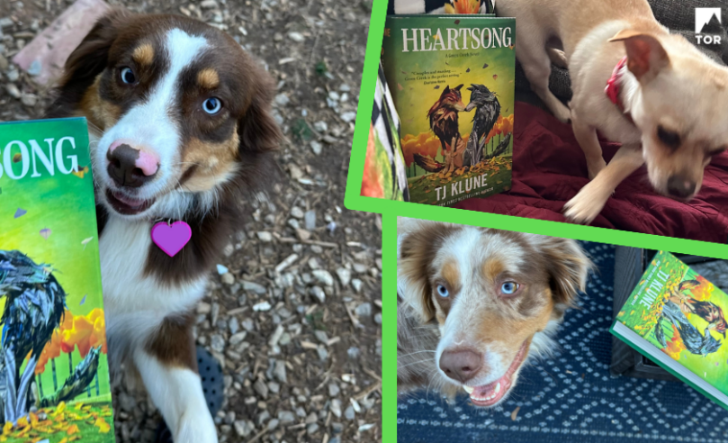an assortment collage of dogs with heartsong by tj klune 90A