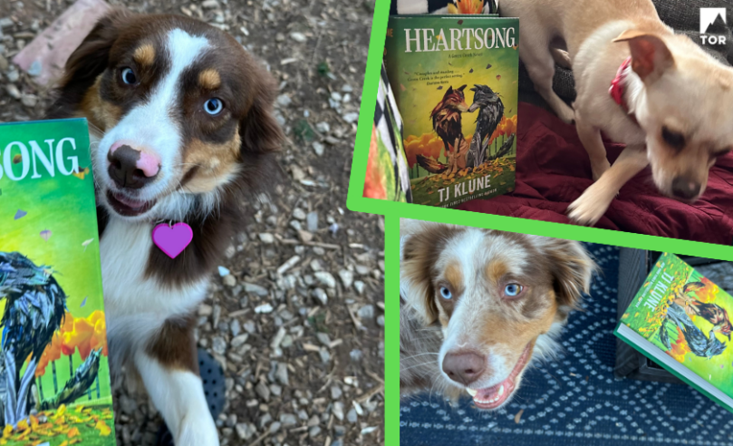 an assortment collage of dogs with heartsong by tj klune 79A