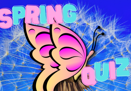 Tor's Whimsically Energizing Spring Quiz - 77