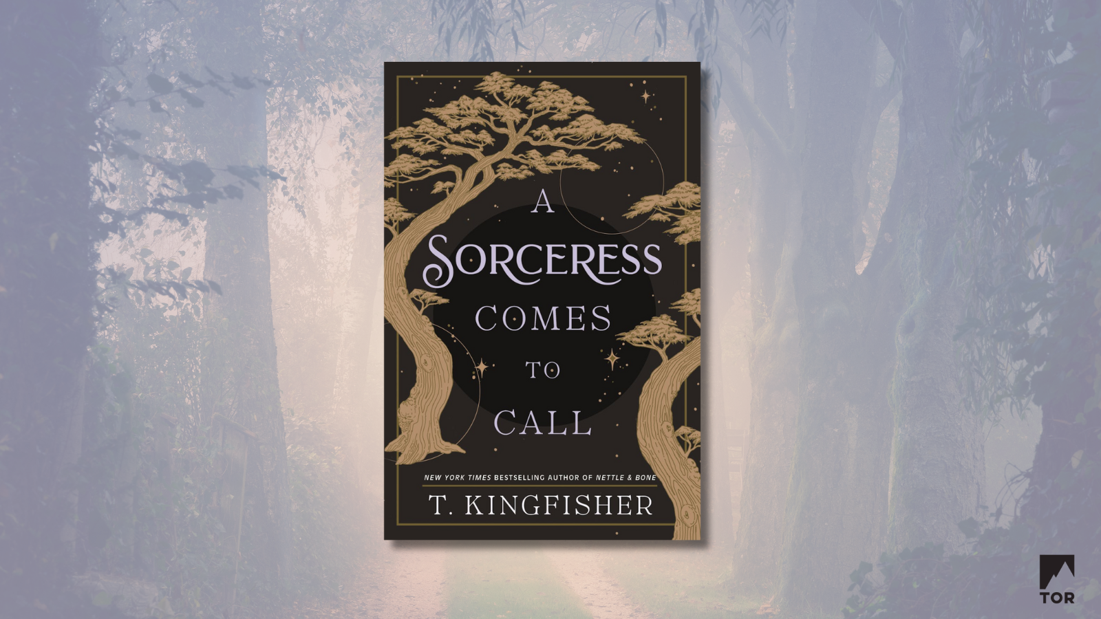 Excerpt Reveal: A Sorceress Comes to Call by T. Kingfisher
